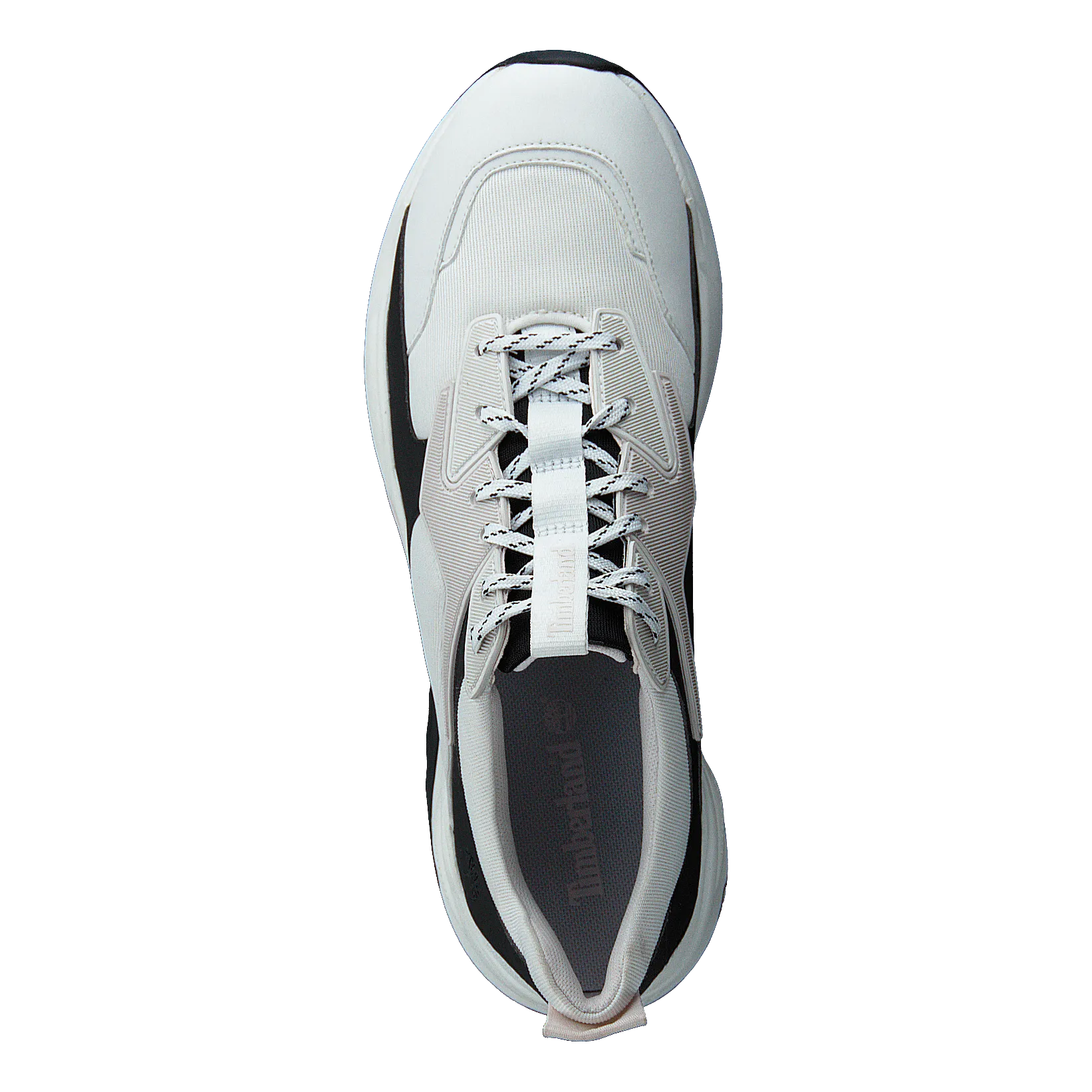 Delphiville F/l Sneaker Blanc De Blanc